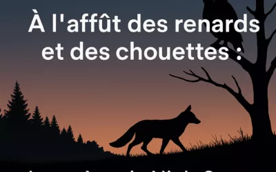 À l’affût des renards et des chouettes : la genèse de NightScan