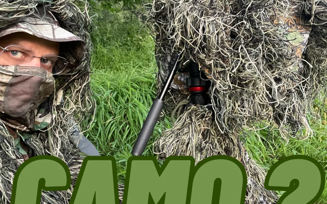 Camouflage en photo animalière : invisible en forêt ? Trucs et astuces selon votre budget